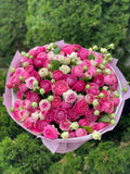 101 pfingstrosenartige Rosen Light, Gelato, Majestic
