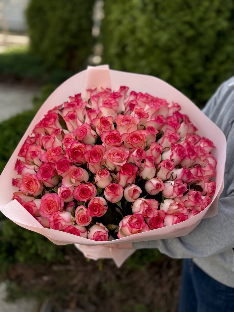 101 Rosen Jumilia
