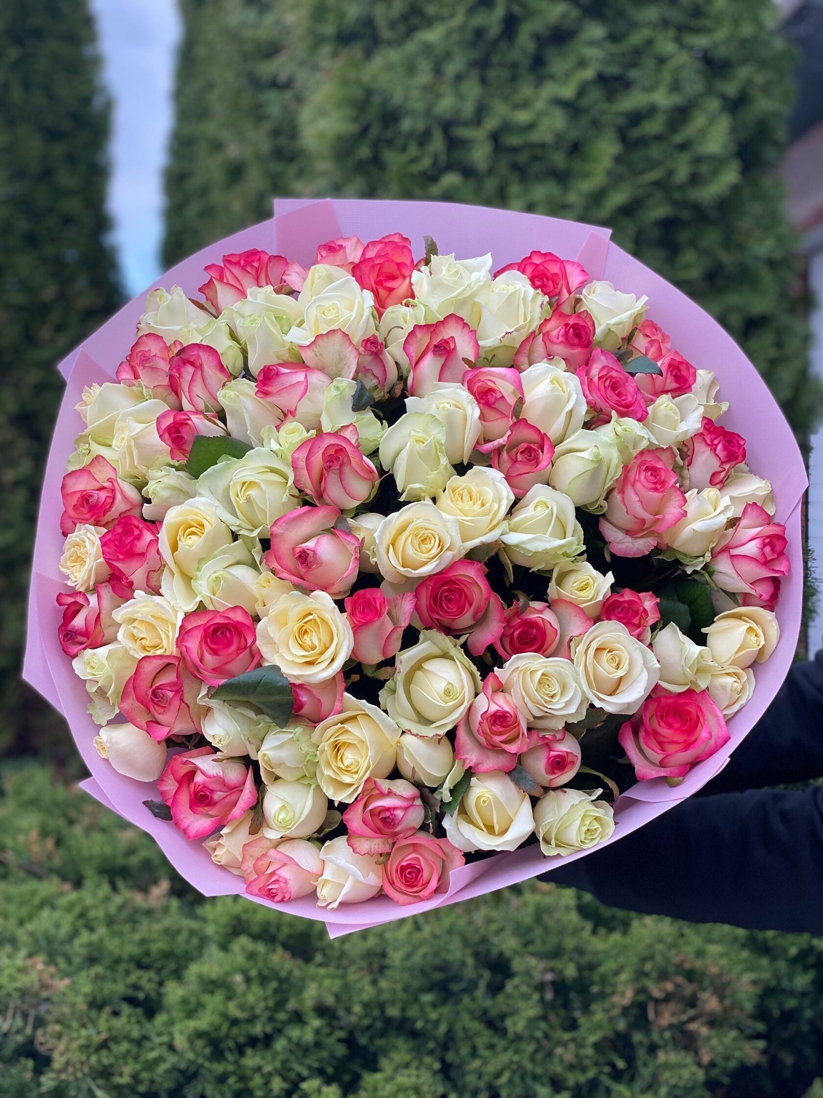 101 Rosen Jumilia und Avalanche