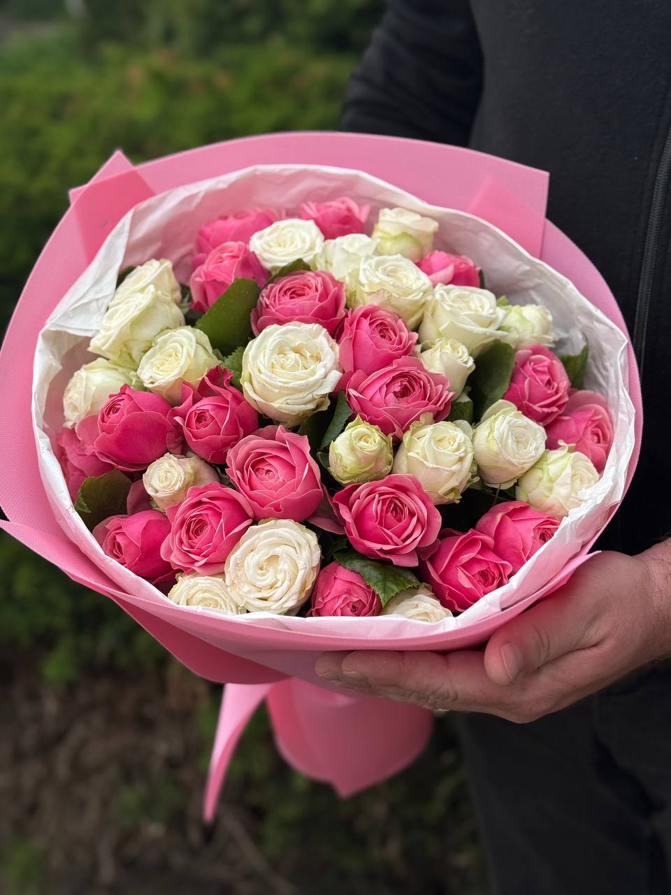 39 pfingstrosenartige Rosen Miss Bombastic und Light