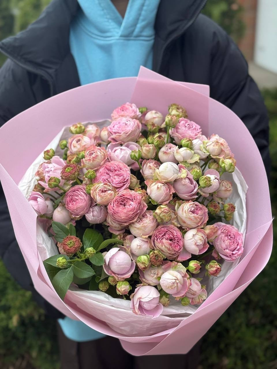 39 pfingstrosenartige Rosen Lavender