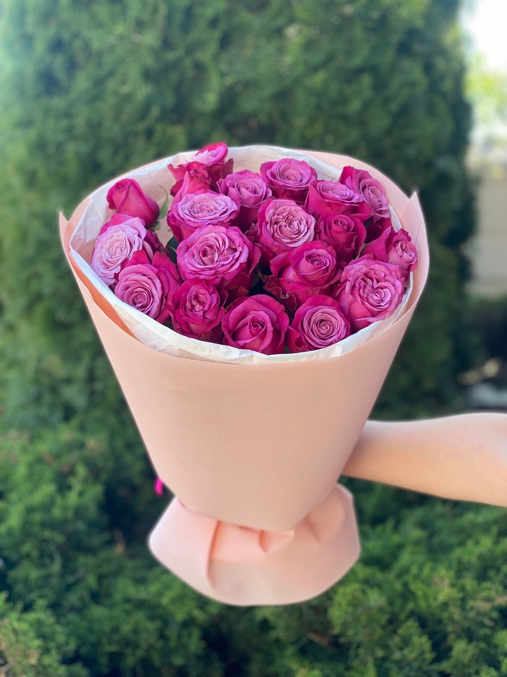19 Rosen Prince Persia
