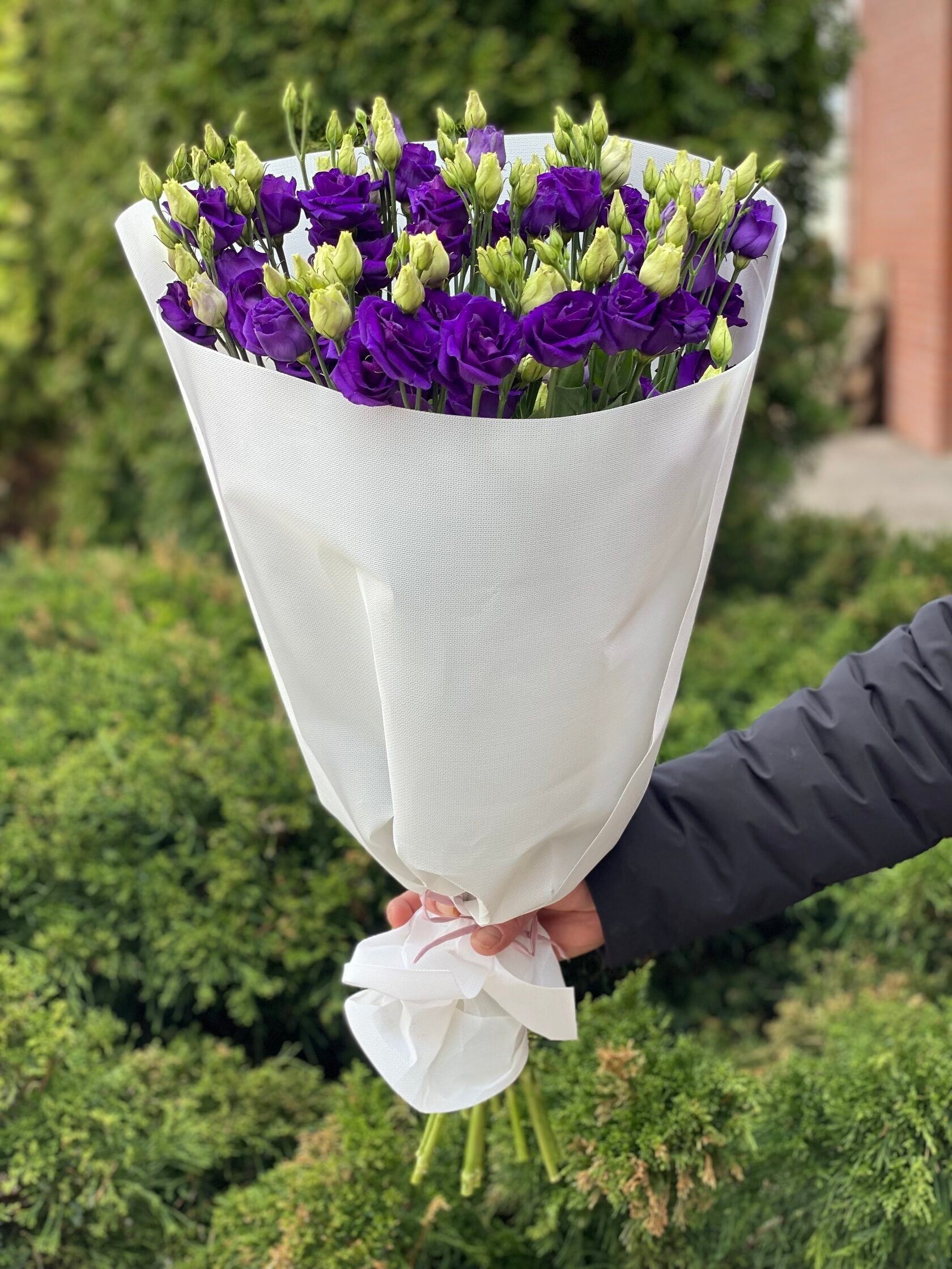 9 Stiele Eustoma violett (70 cm)