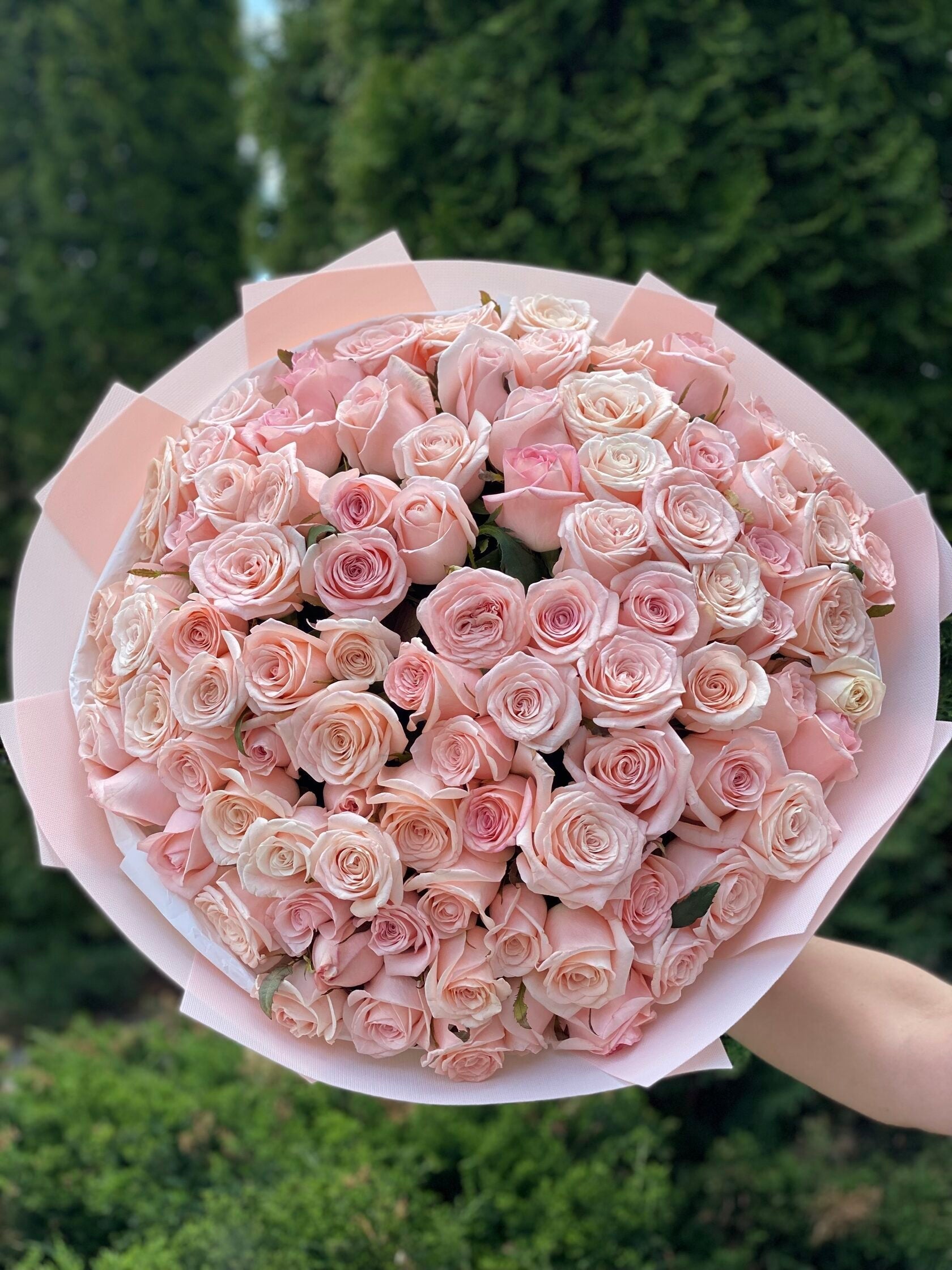 101 Rosen Kimberly