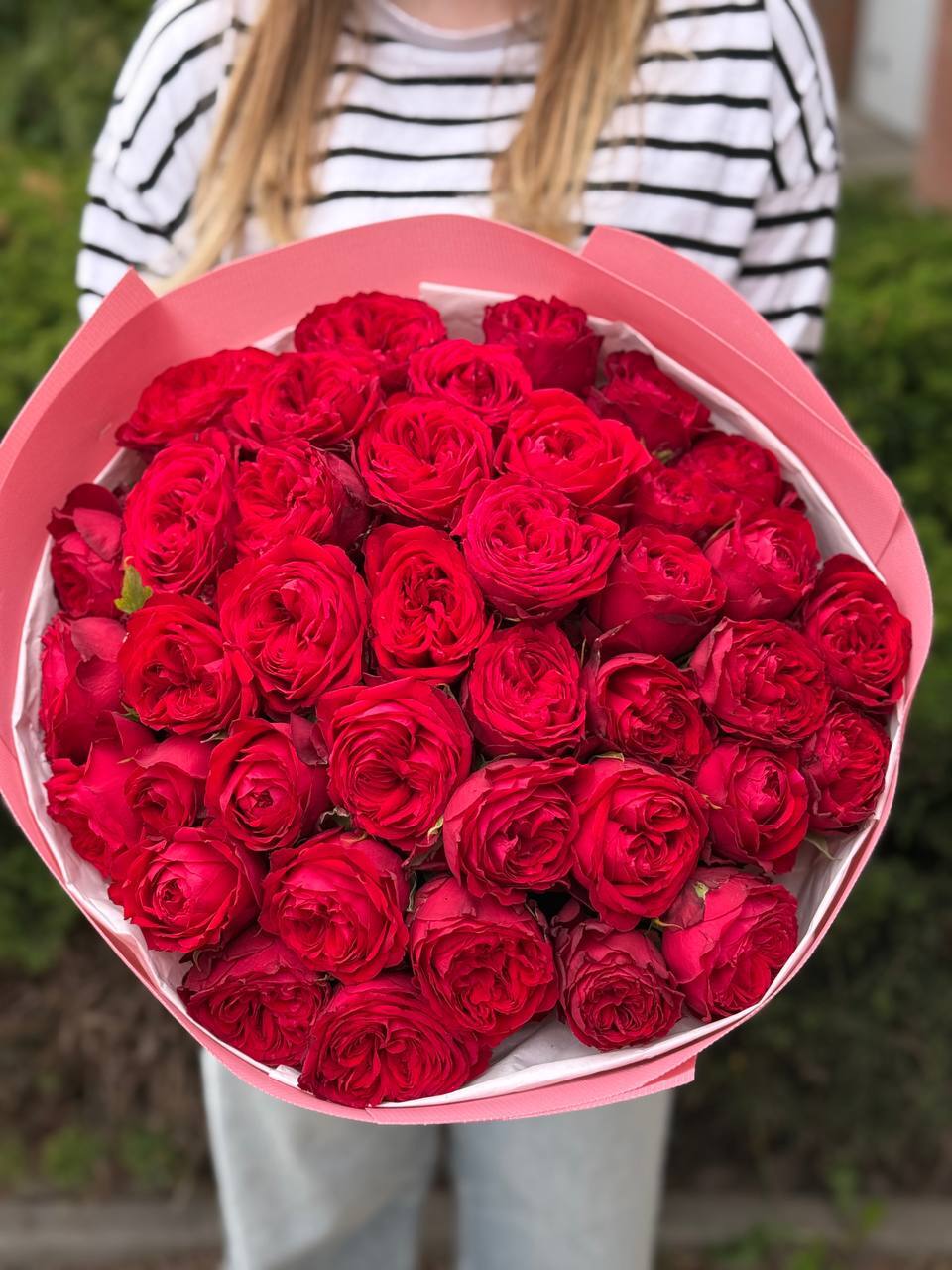39 pfingstrosenartige Rosen Country Spirit