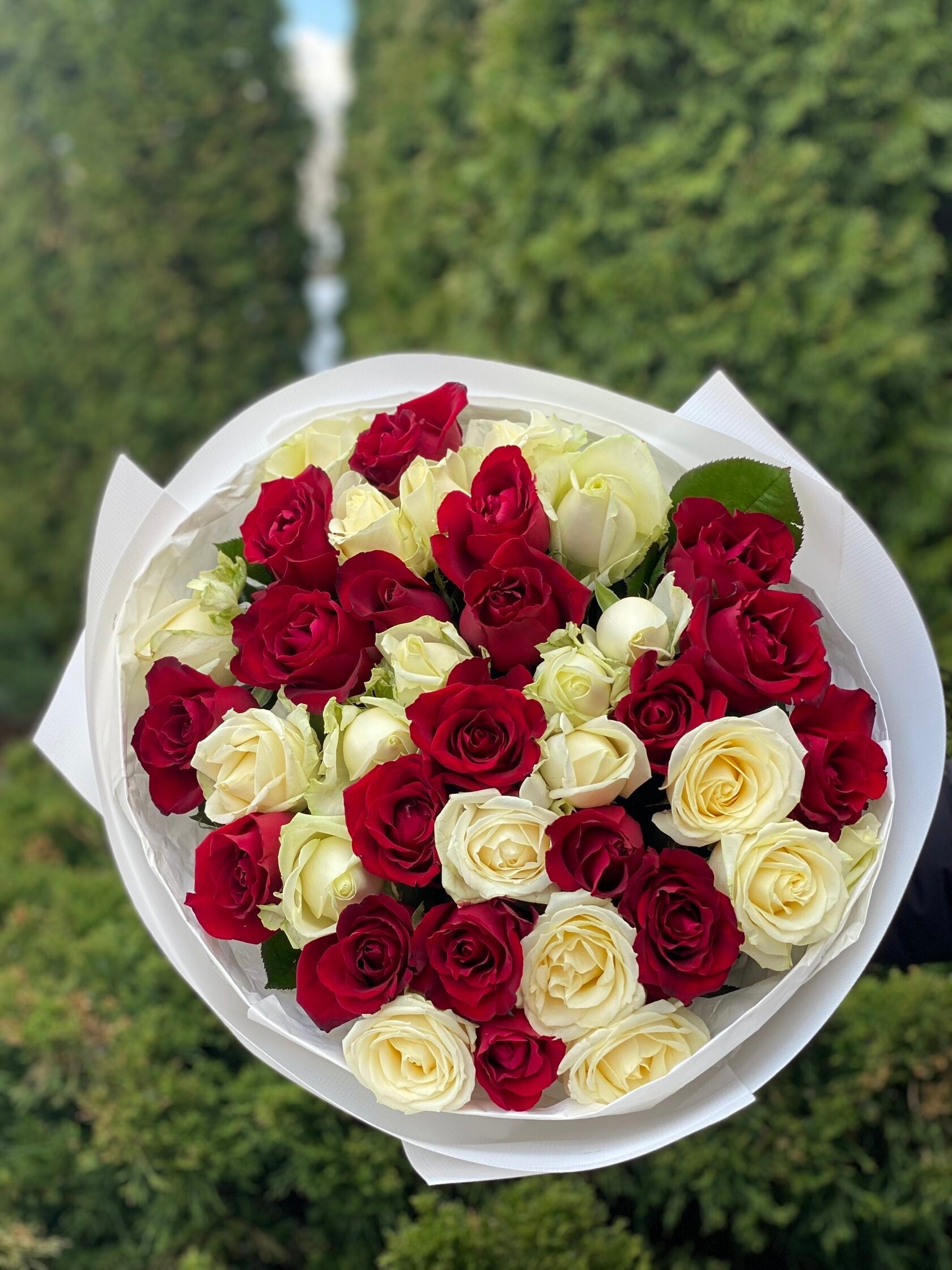 39 Rosen Grand Prix und Avalanche
