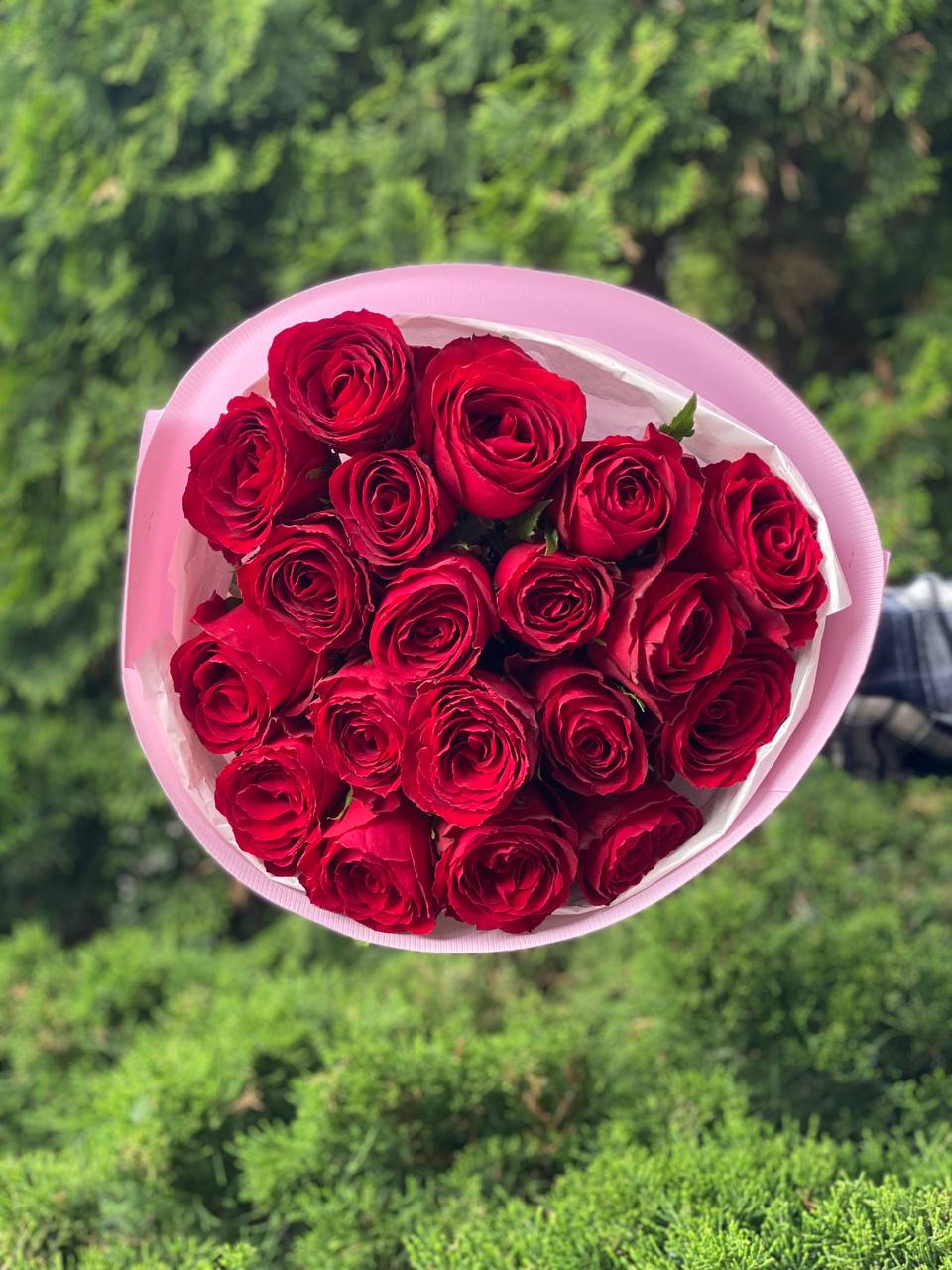 19 Rosen Prestige