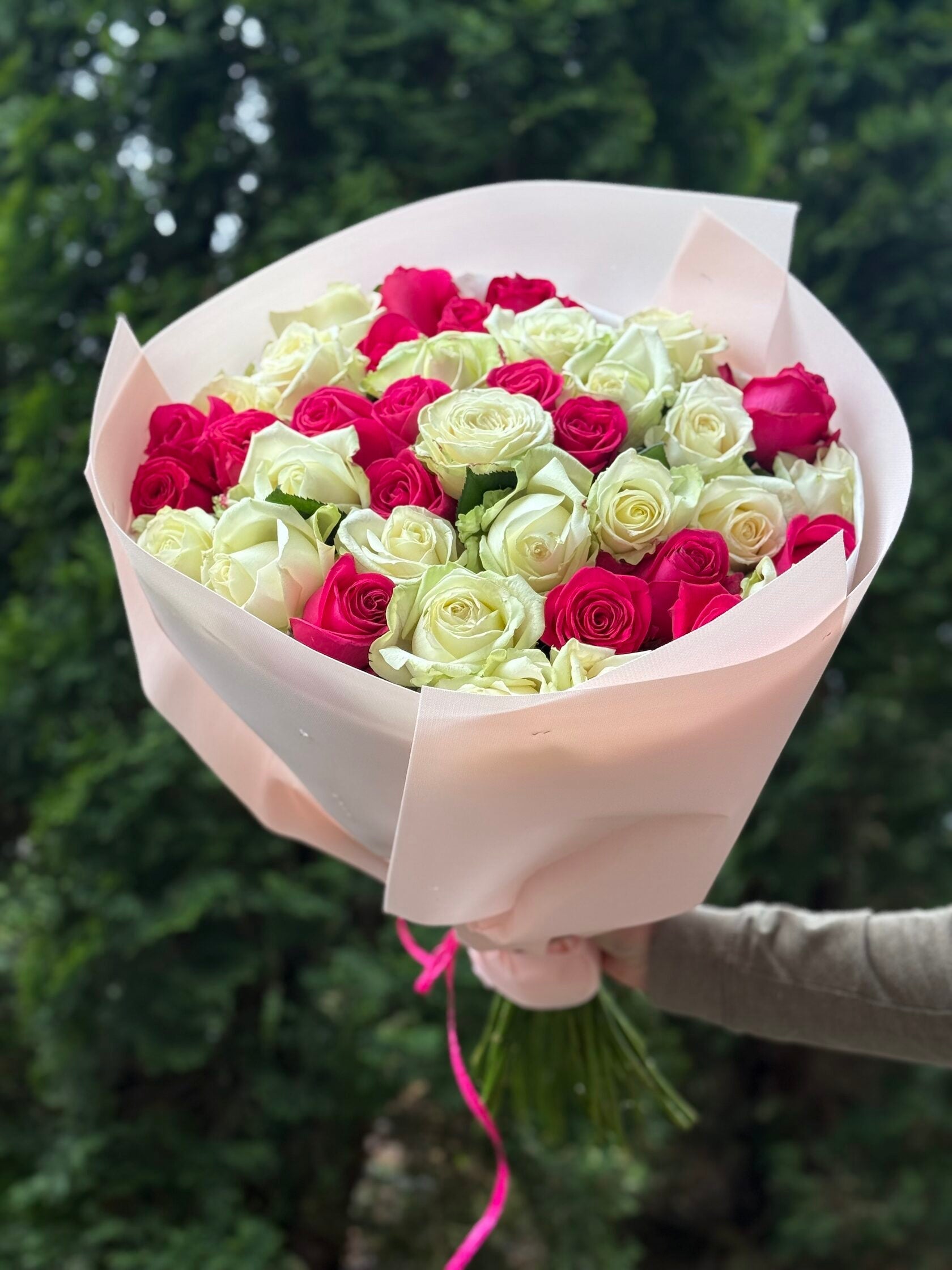 39 Rosen Avalanche und Cherry