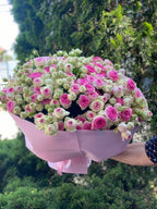 101 pfingstrosenartige Rosen Gelato