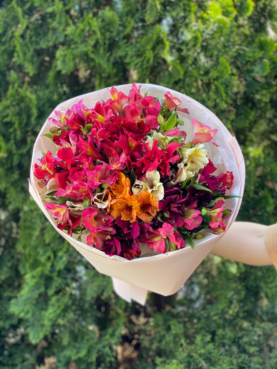 Bouquet 19 Stiele Alstroemeria