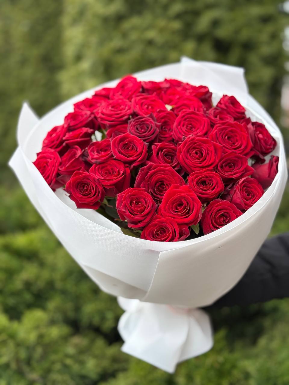 39 Rosen Red Naomi