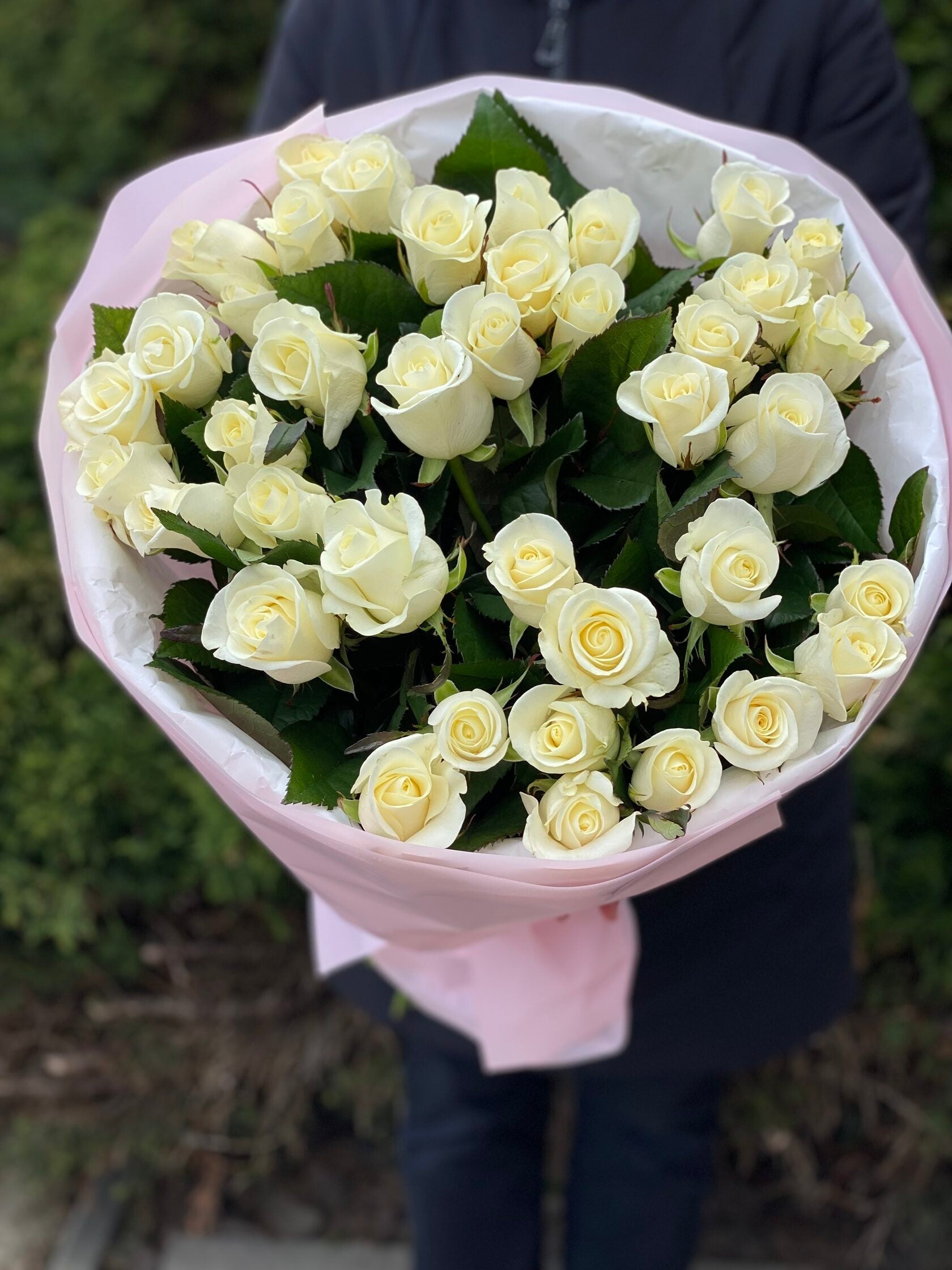 39 Rosen Beluga
