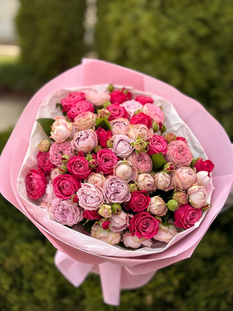 39 Rosen Lavender und Majestic