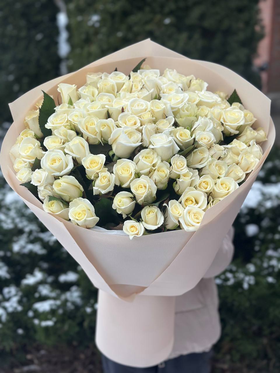 101 Rosen Beluga