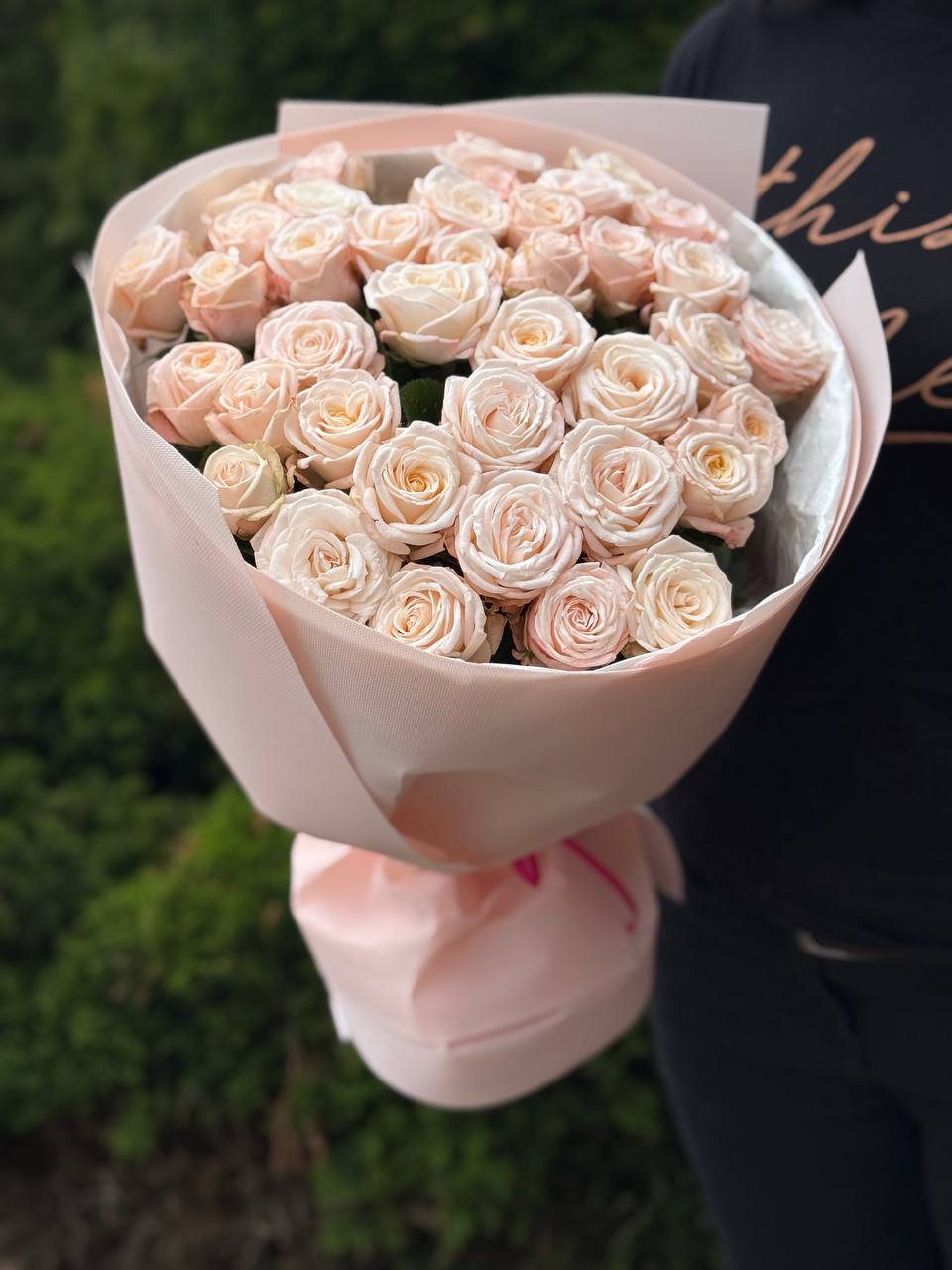 39 pfingstrosenartige Edelrosen Bombastic (einblütig)
