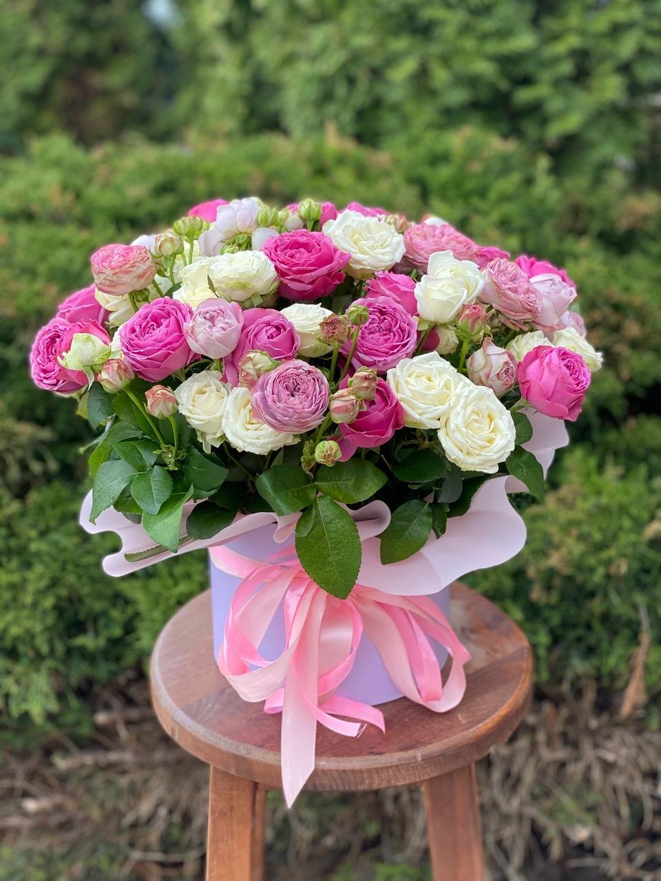 Hutbox XL 51 Rosen (Sorten Miss Bombastic und Line)