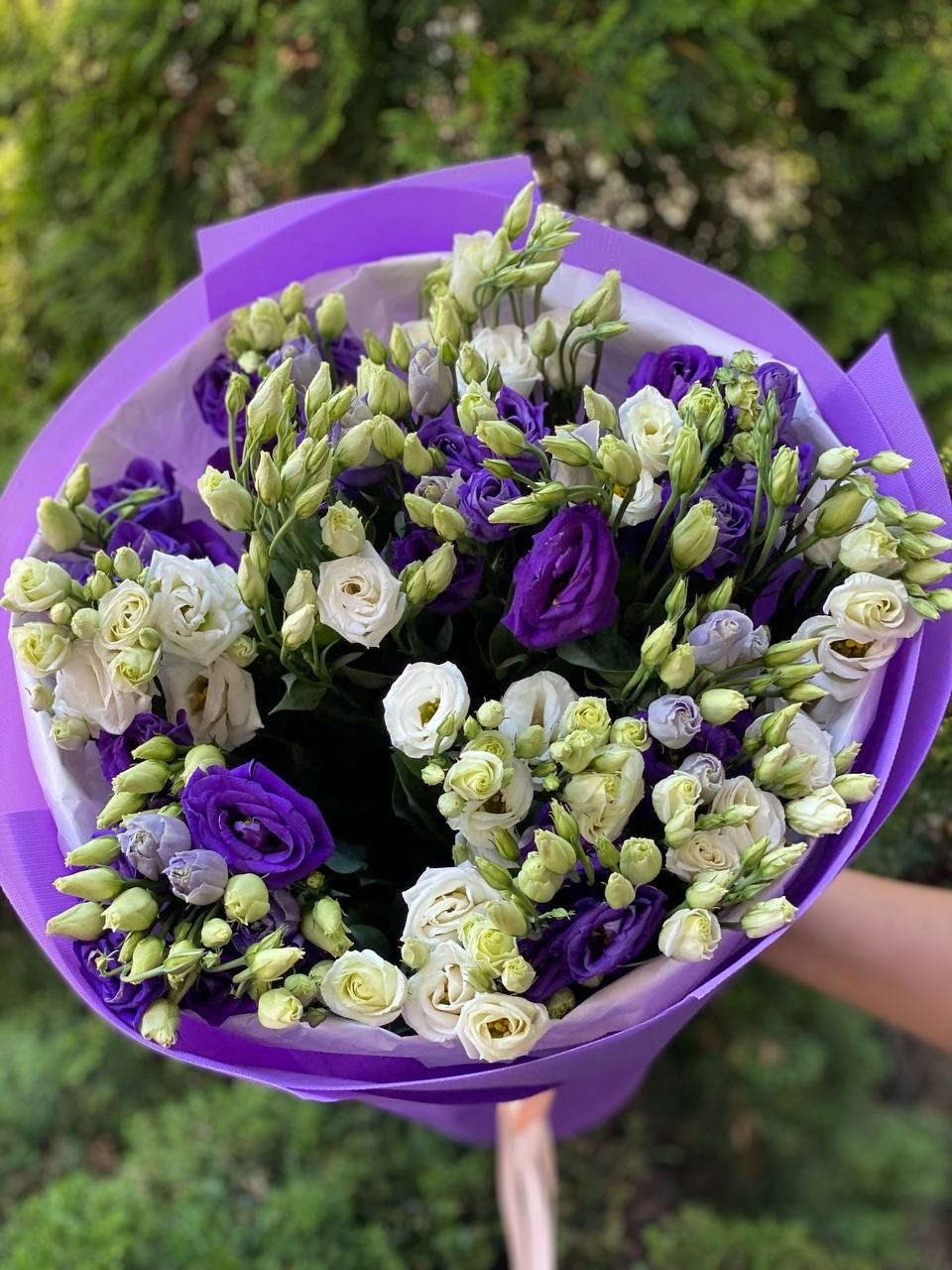 19 Stiele Eustoma weiß und violett (70 cm)