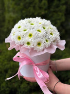 Zum Muttertag in der Hutbox S (Weiße Chrysanthemen)