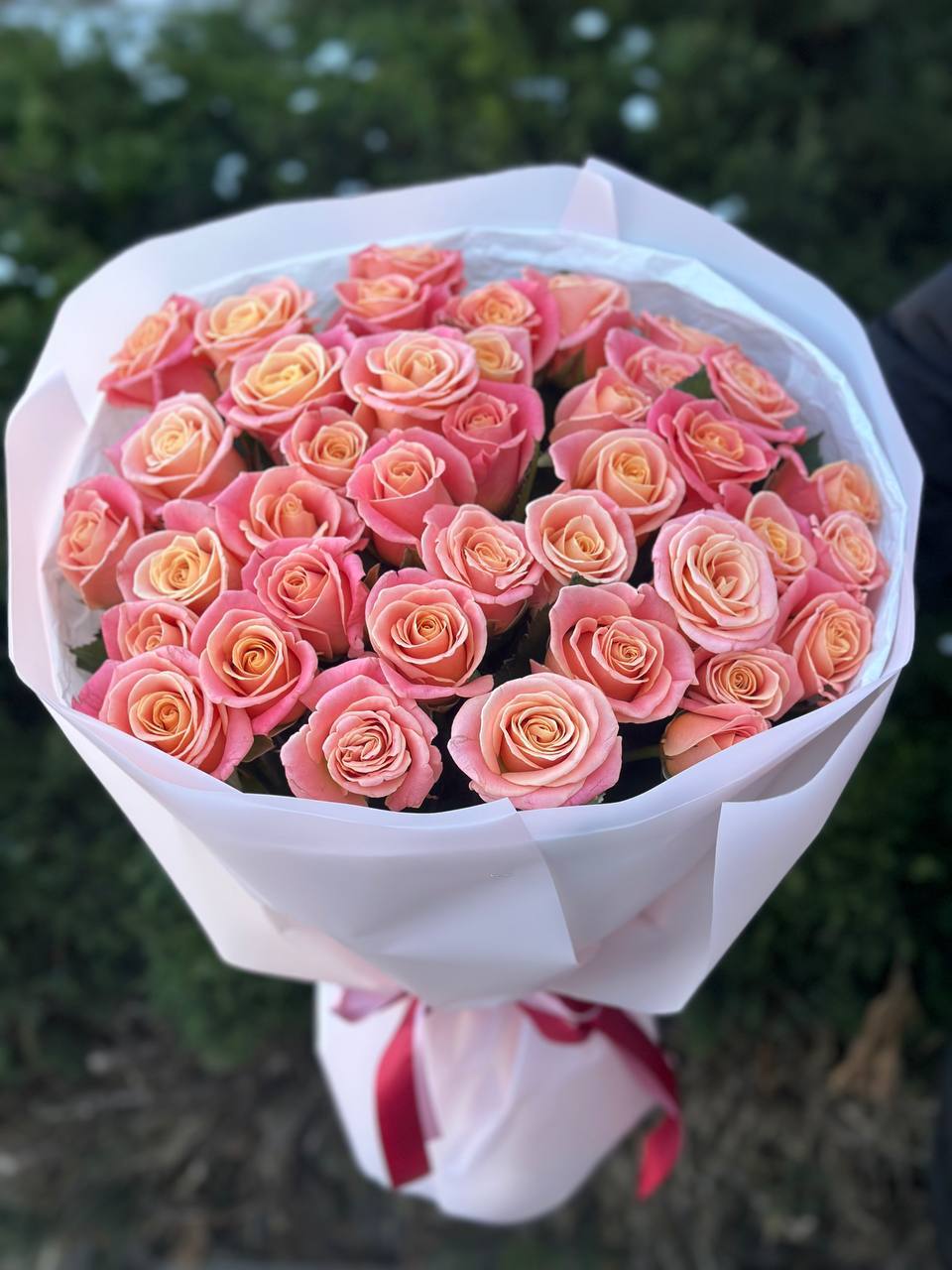 39 Rosen Miss Piggy