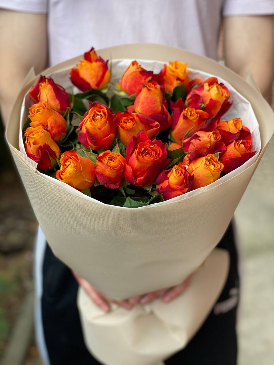 19 Rosen Hollandia Orange