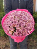 39 Rosen Hollandia (violet)
