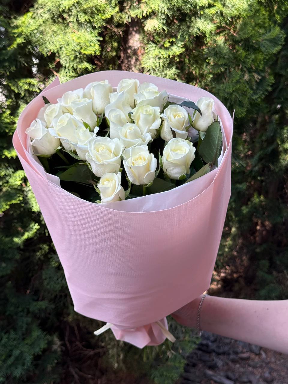 19 Rosen Beluga