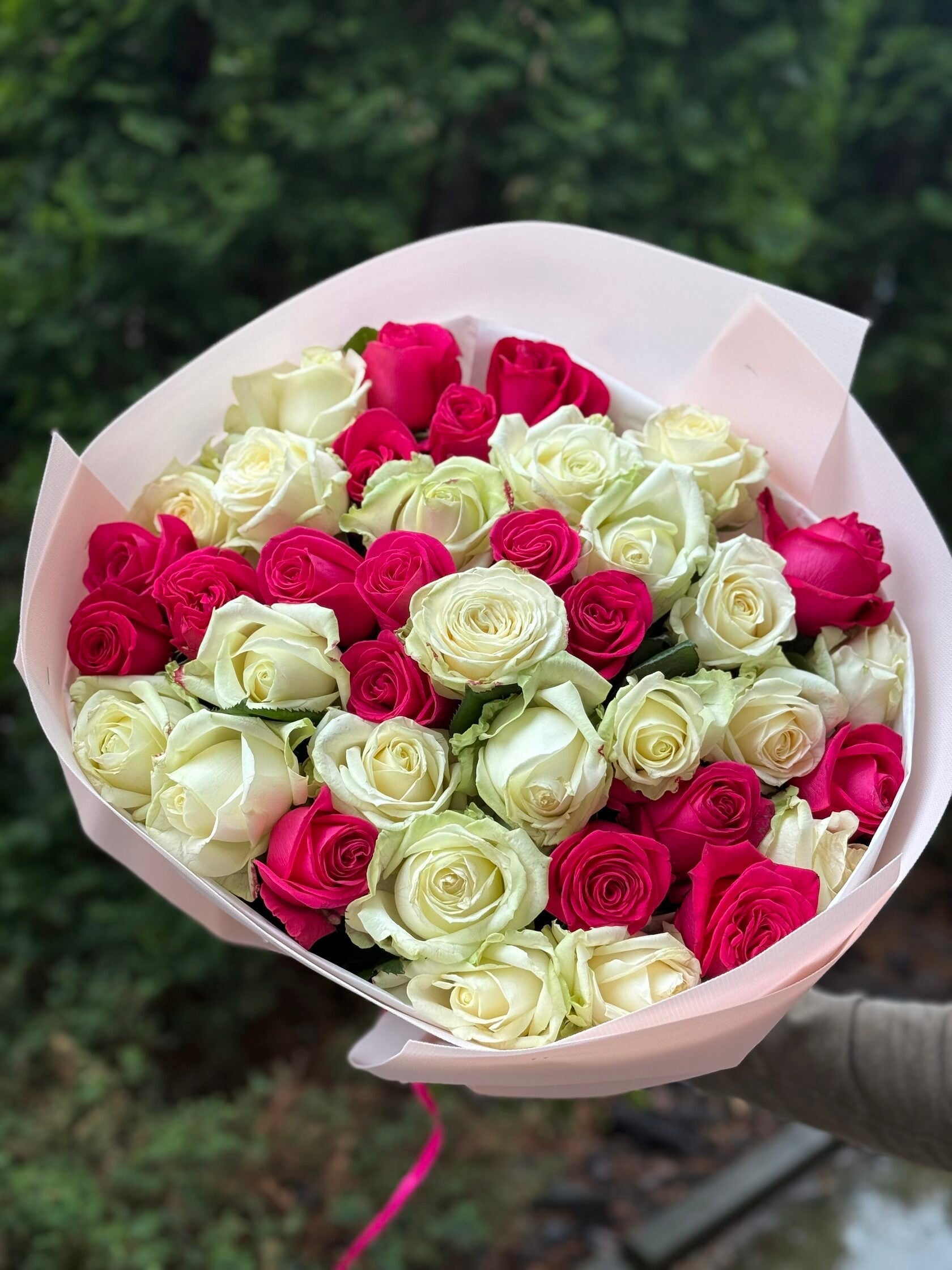 39 Rosen Avalanche und Cherry