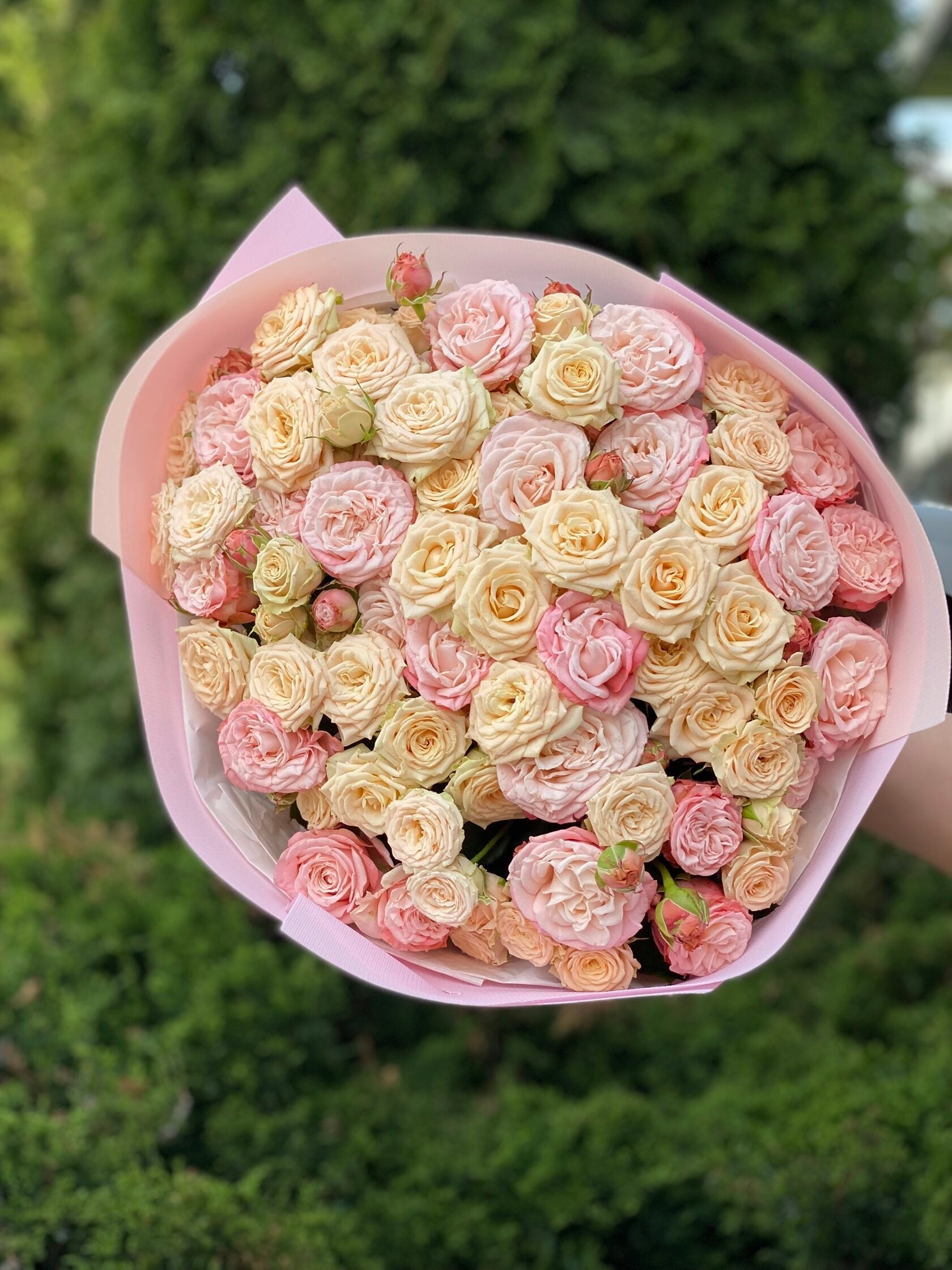 39 Rosen Tanya und Bombastic