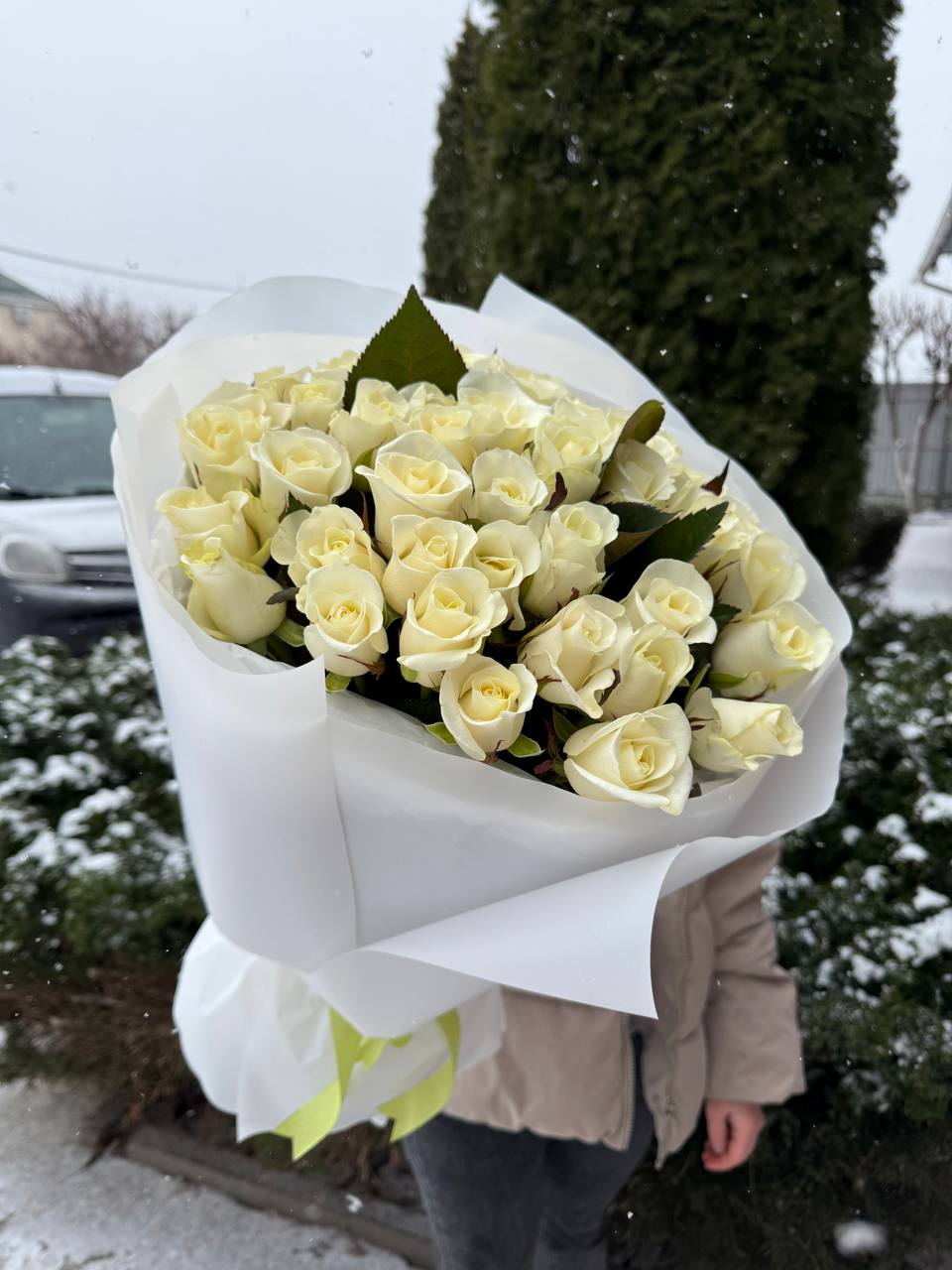 39 Rosen Beluga