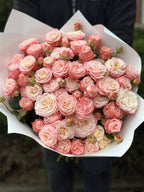 39 pfingstrosenartige Rosen Bombastic