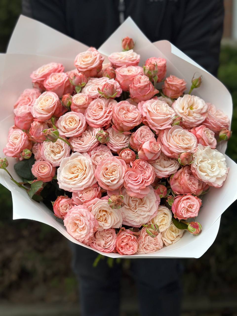 39 pfingstrosenartige Rosen Bombastic