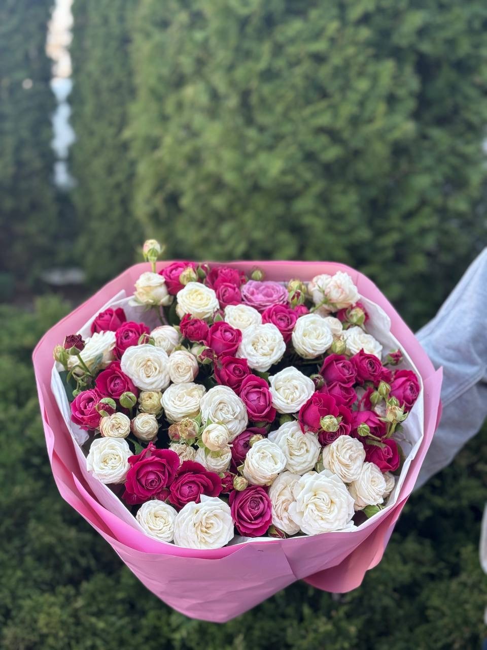 39 Rosen-Bombastic und Majestic