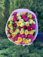 39 pfingstrosenartige Rosen Majestic und Tanya