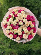 39 pfingstrosenartige Rosen Majestic und Tanya