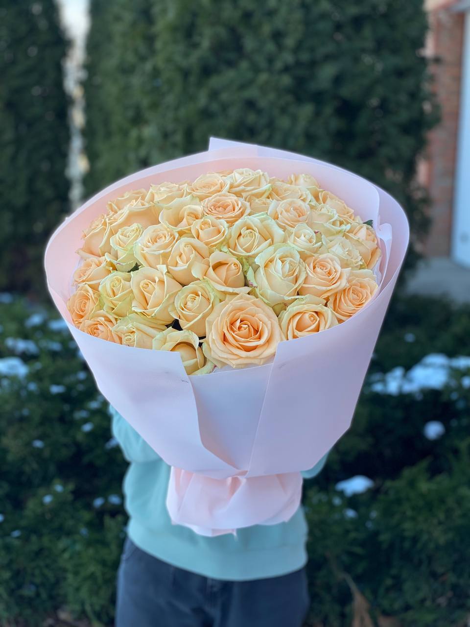 39 Rosen Peach Avalanche