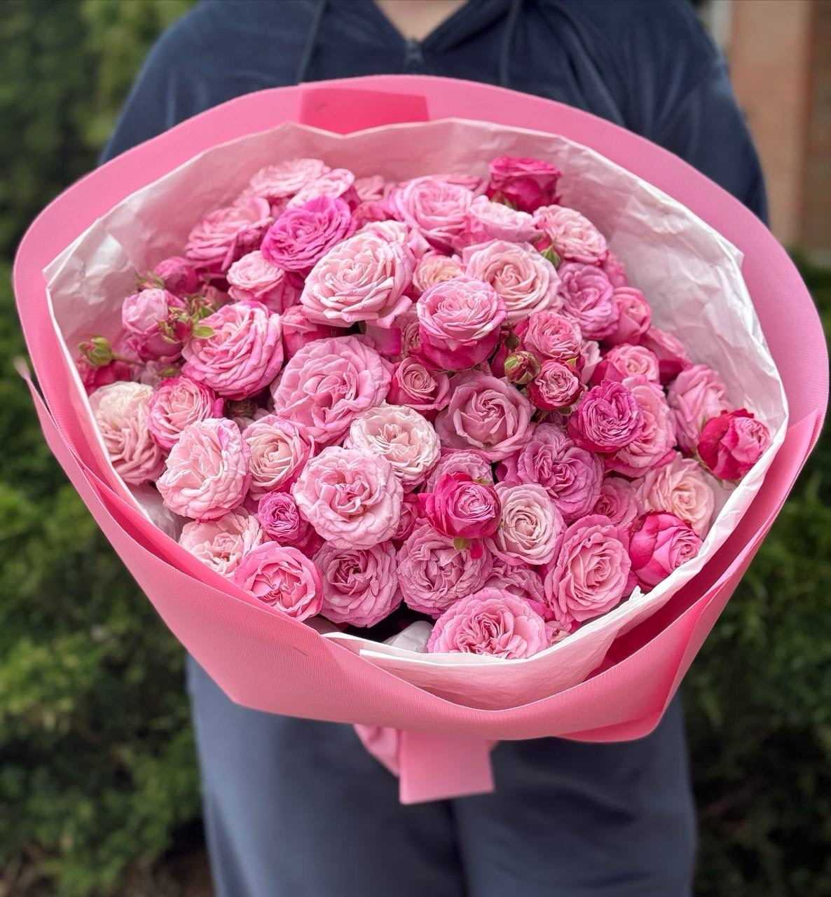 39 pfingstrosenartige Rosen Lady Bombastic