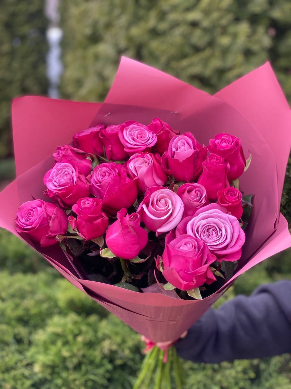 19 Rosen Prince Persia