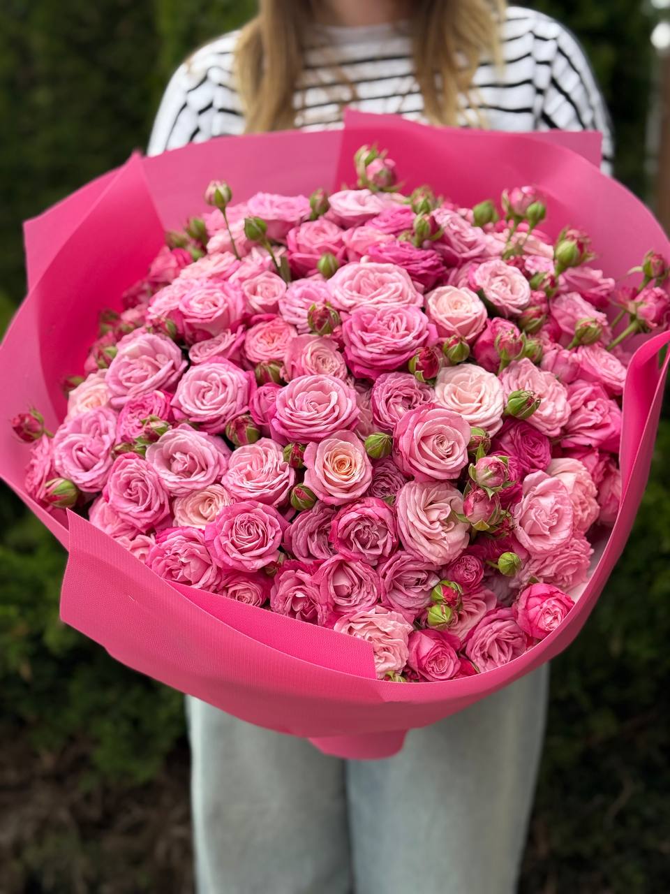 101 pfingstrosenartige Rosen Lady Bombastic
