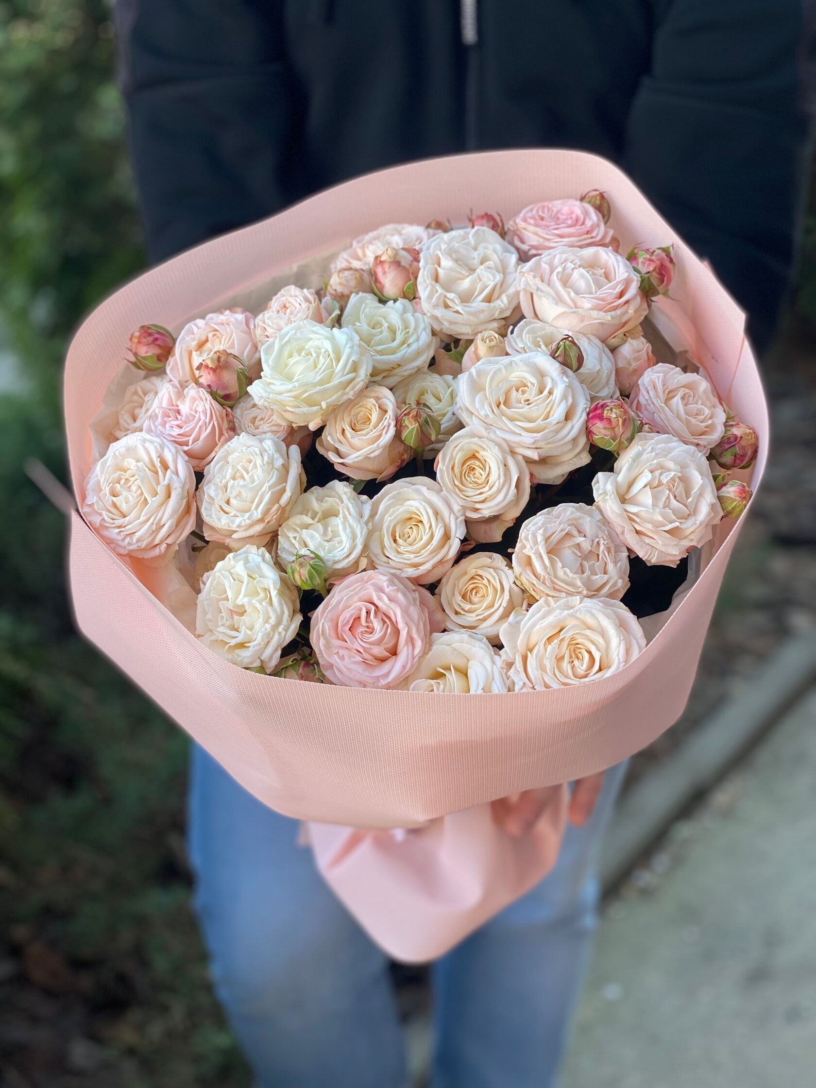 19 pfingstrosenartige Rosen Bombastic