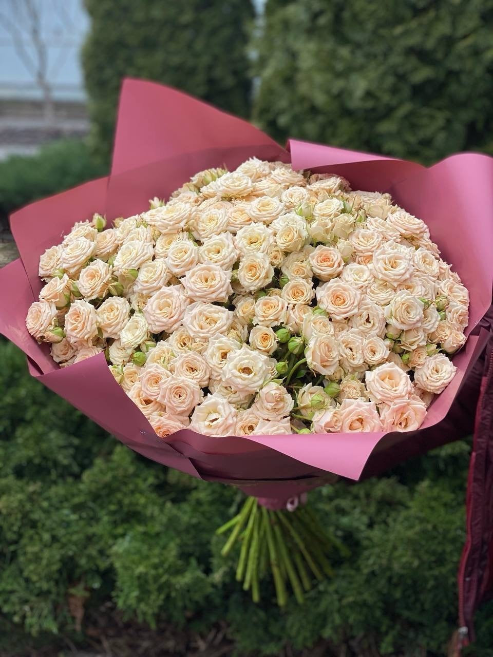 101 Rosen Tanya