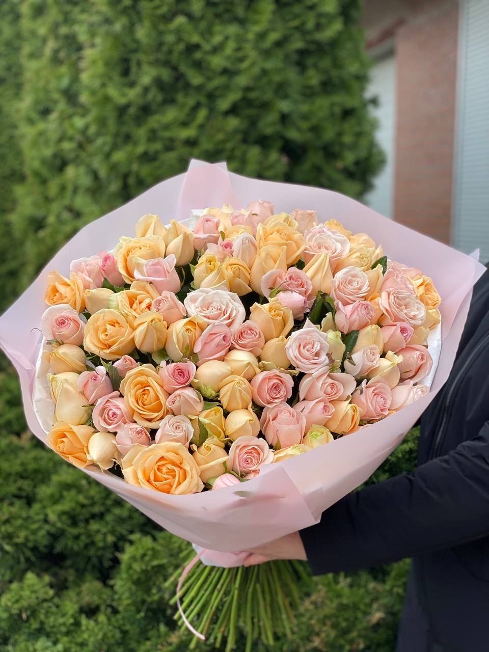 101 Rosen Peach Avalanche und Kimberly