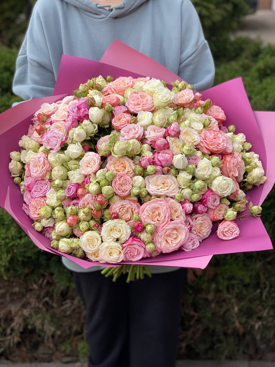 101 Rosen Bombastic Assorti