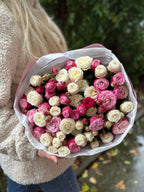 39 Rosen Miss und Lady Bombastic