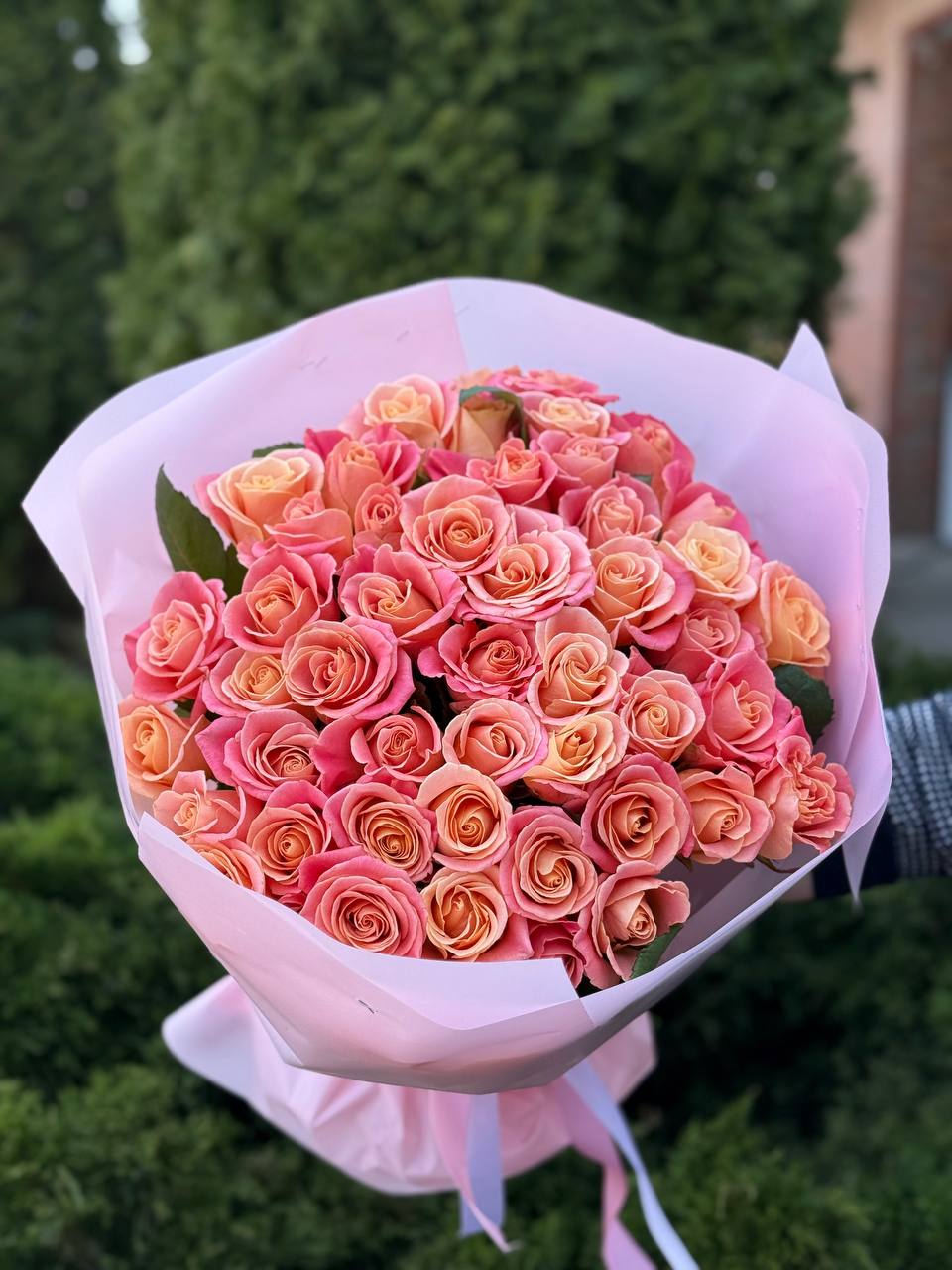 51 Rosen Miss Piggy
