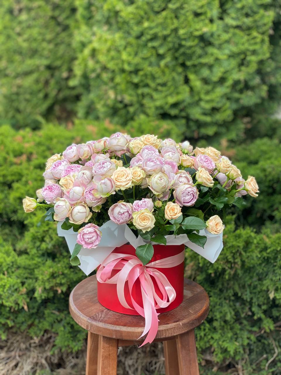 Hutbox XL 51 Rosen (Sorten Tania und Lavender)