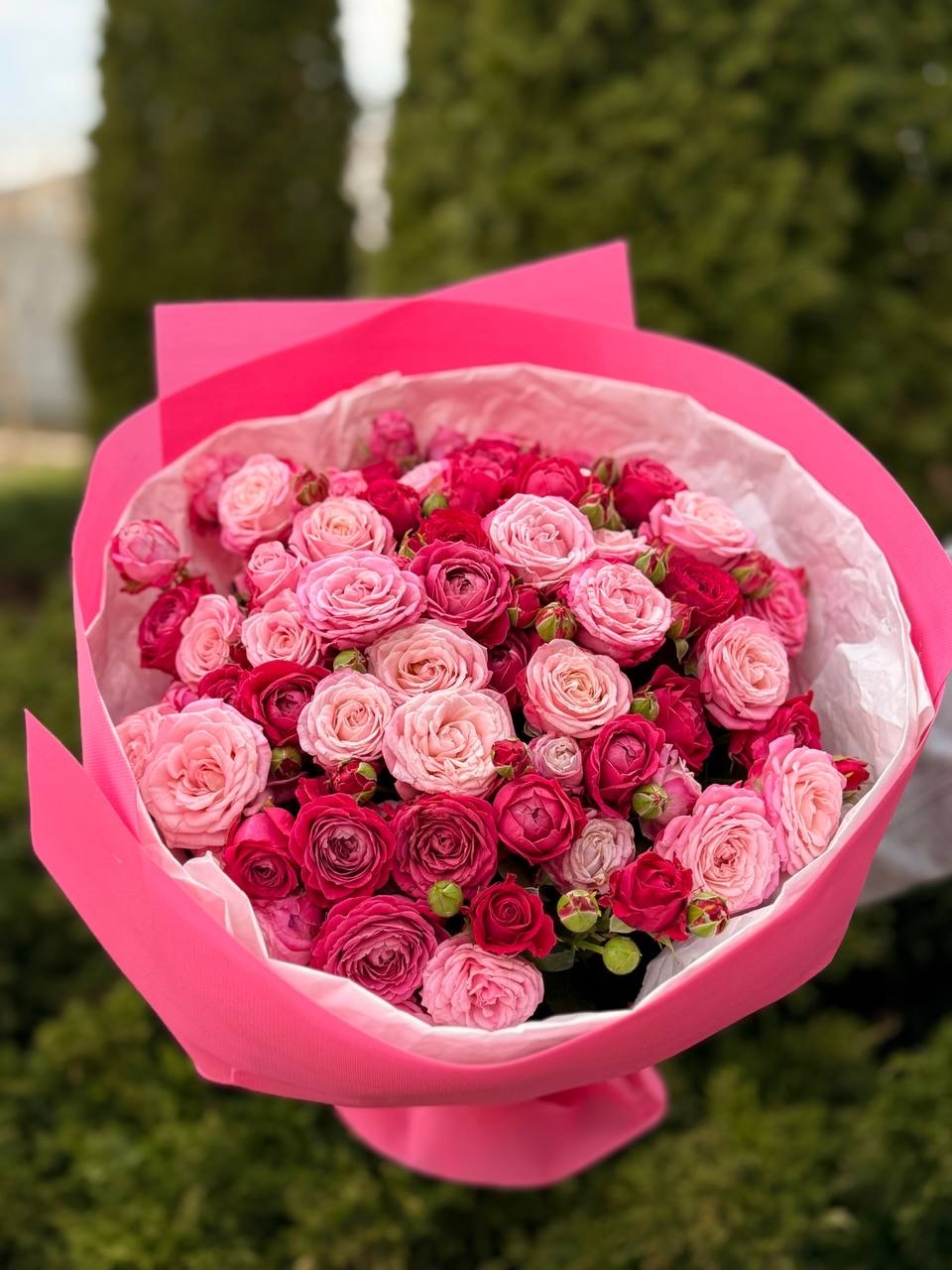 39 Rosen Lady Bombastic und Majestic