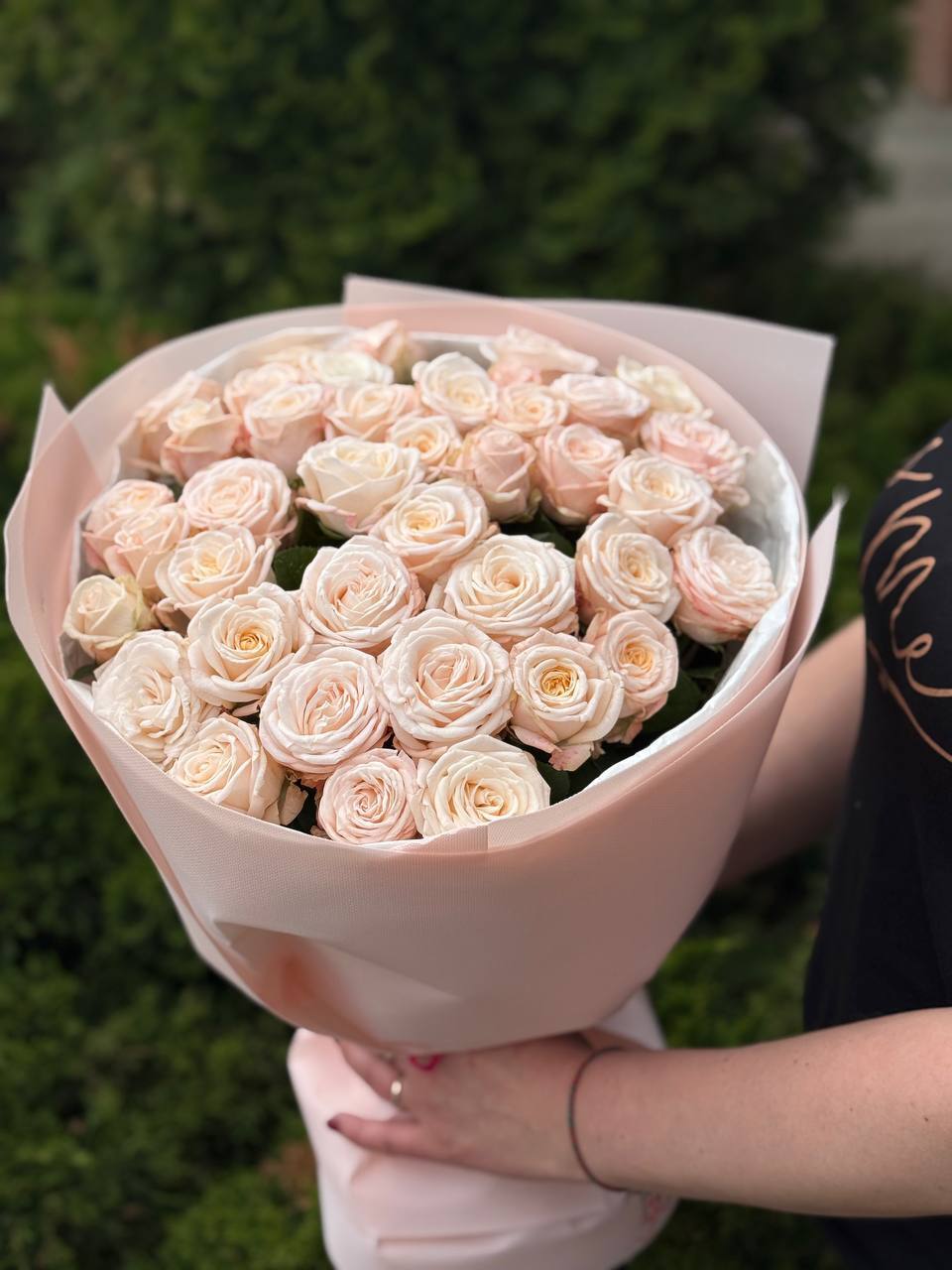 39 pfingstrosenartige Edelrosen Bombastic (einblütig)
