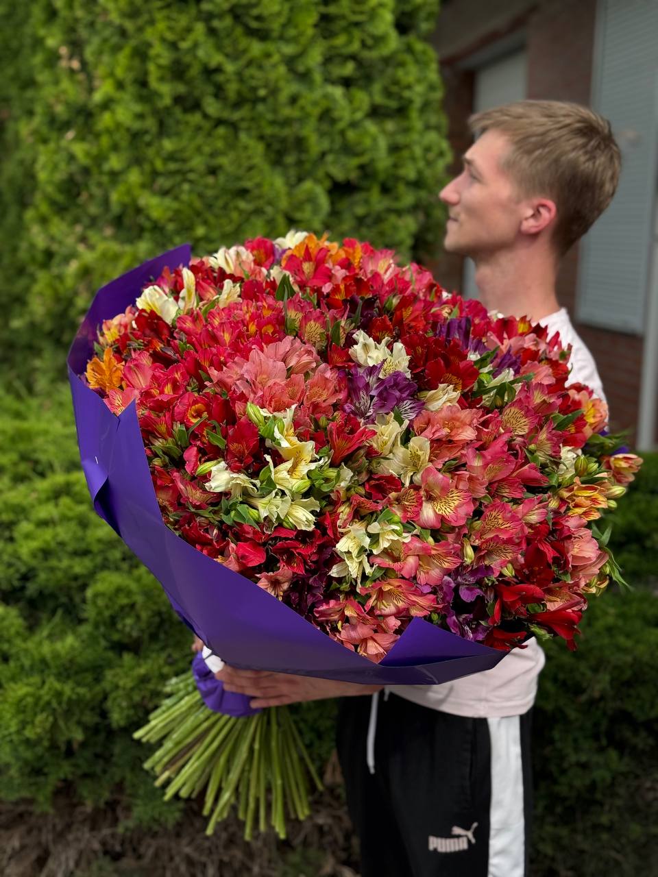 Bouquet 101 Alstroemeria