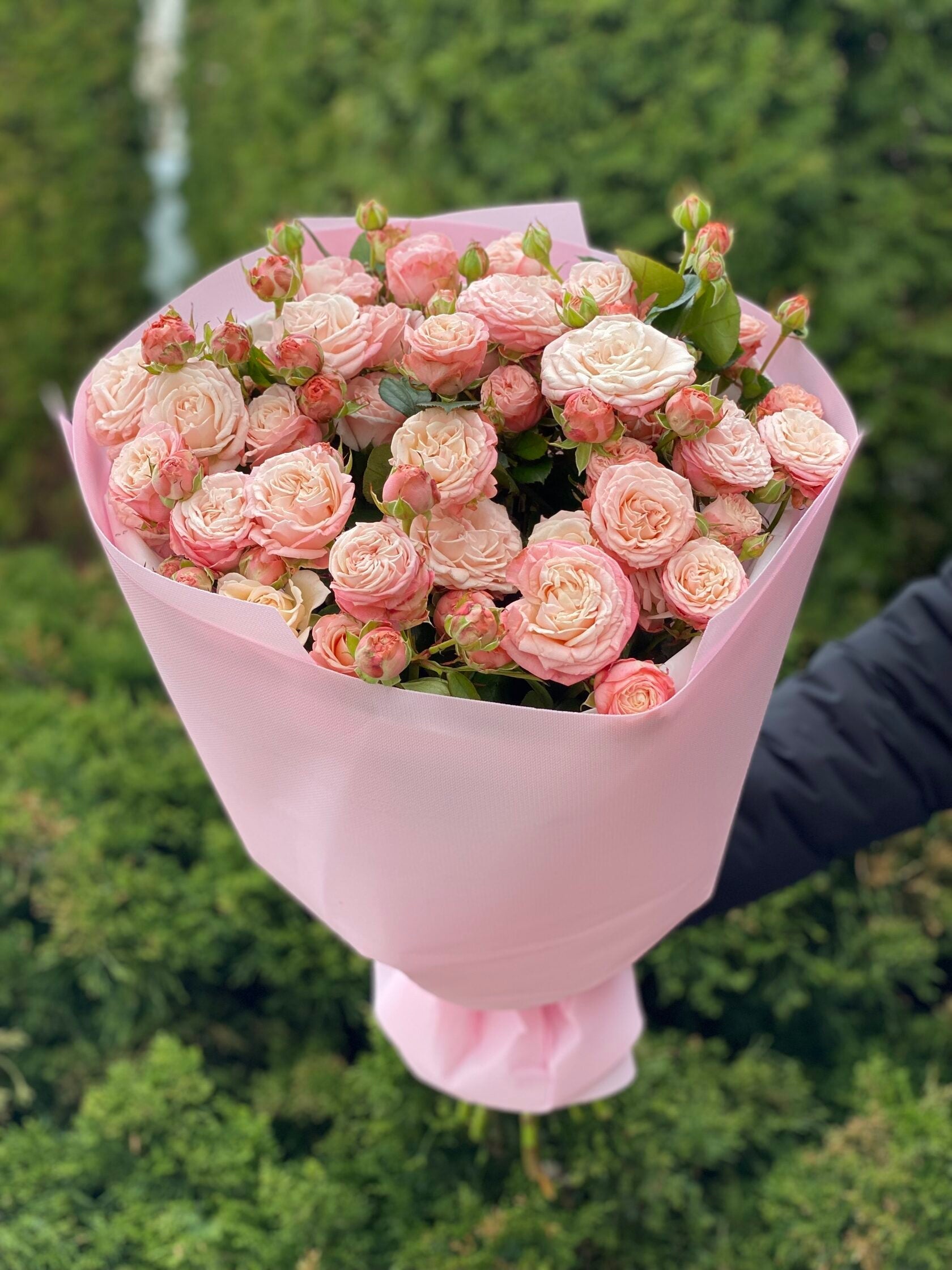 19 pfingstrosenartige Rosen Madam Bombastic