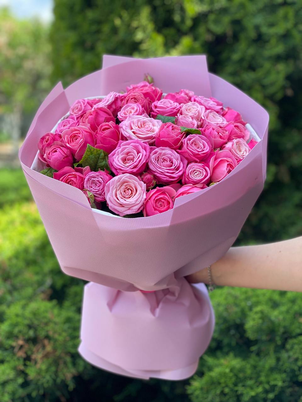 39 pfingstrosenartige Rosen Light und Lady Bombastic